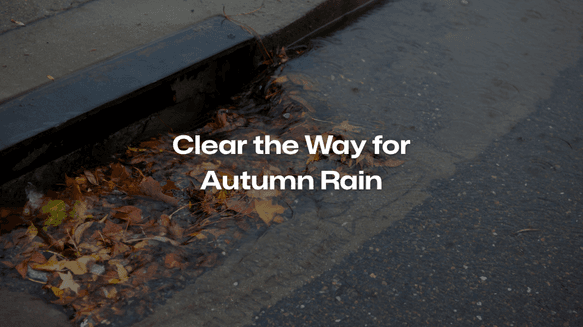 Clear The Way For Autumn Rain